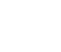 רבר פישמן